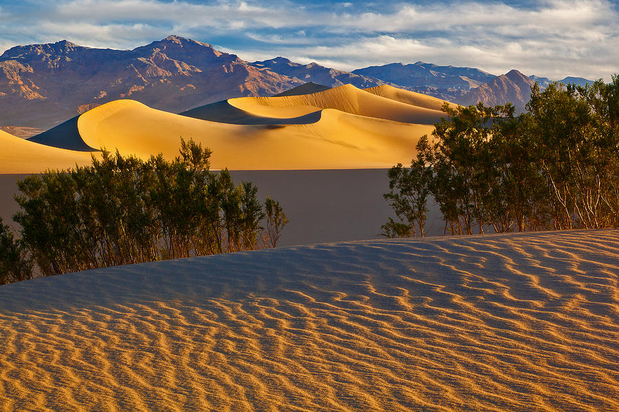 Death Valley National Park Photograph - Sands Of Time by Guy Schmickle