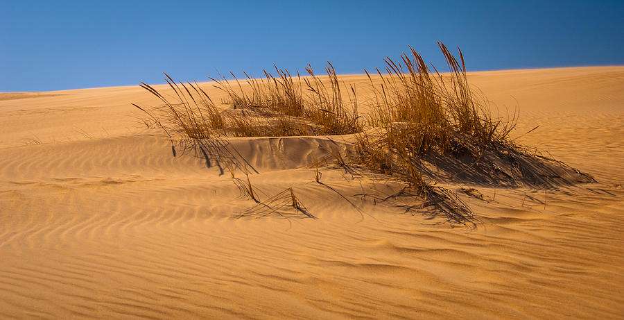Sands of Time Photograph by Joye Ardyn Durham