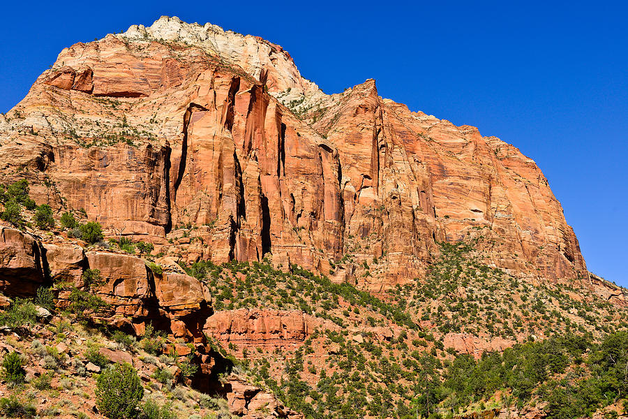 Zion National Park Photograph - Sandstone Giant by Greg Norrell
