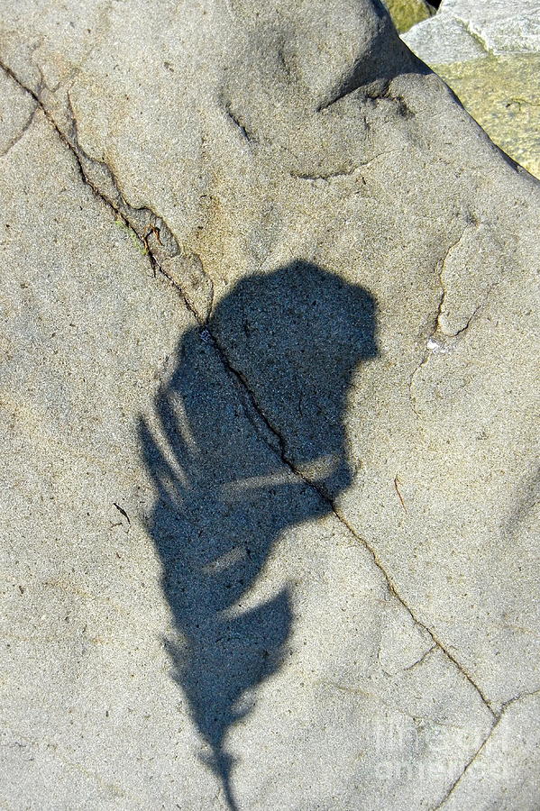 Sandstone Shadow Photograph by KD Johnson