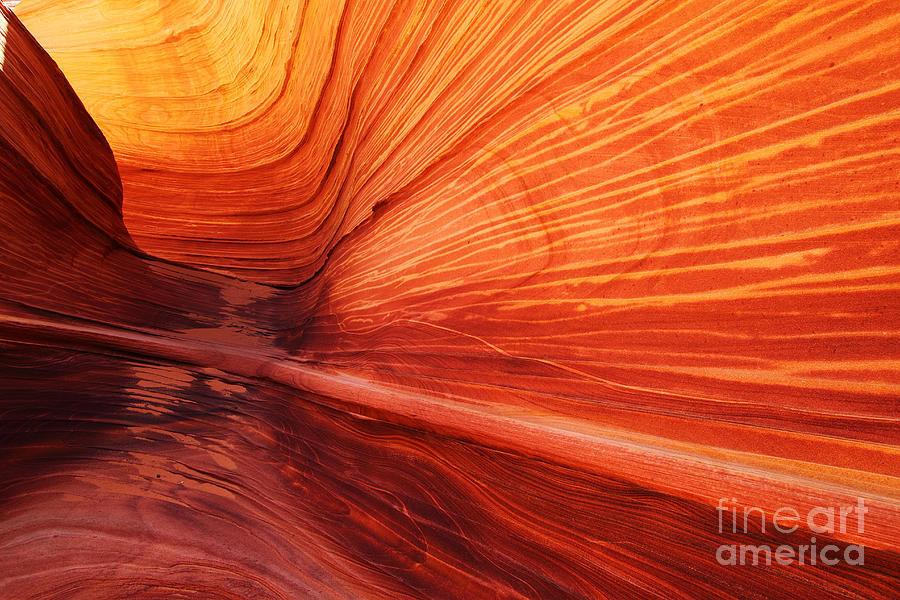 The Wave Photograph - Sandstone Wave  by Dennis Hedberg