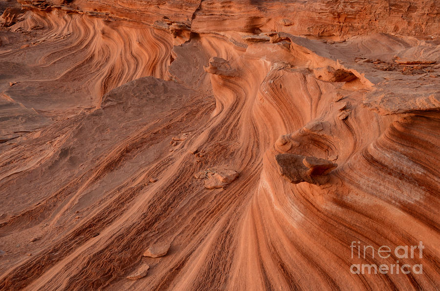 Sandstone Waves Little Finland Photograph by Bob Christopher
