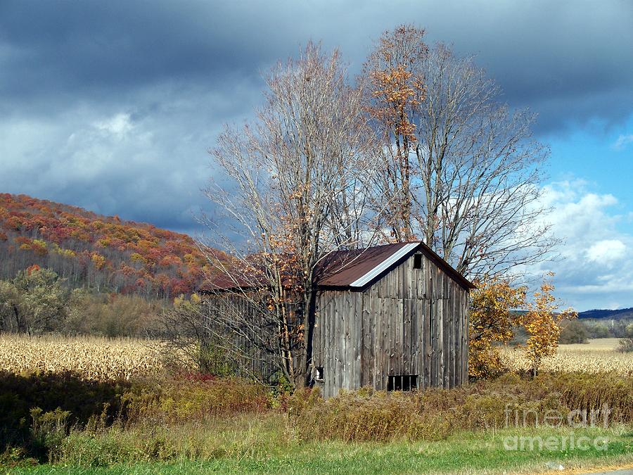 Fall Photograph - Sandwiched Shed by Christian Mattison