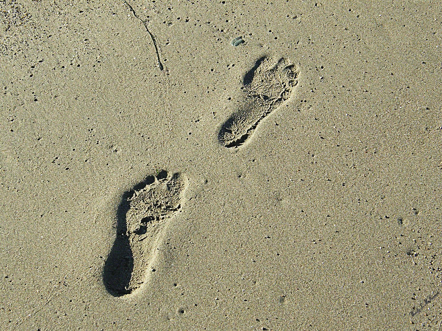 Sandy Footprints Photograph by Wendy McKennon