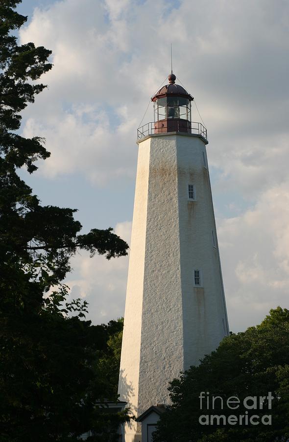 Sandy Hook Lighthouse Photograph by Living Color Photography Lorraine Lynch