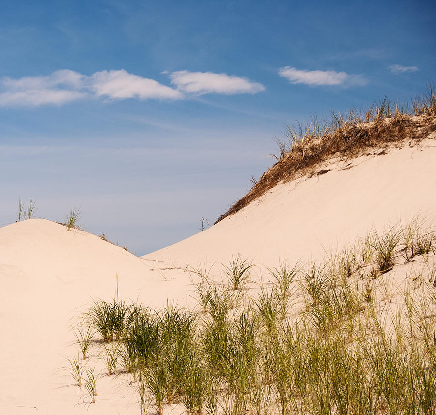 Sandy Neck Dune Photograph by Frank Winters