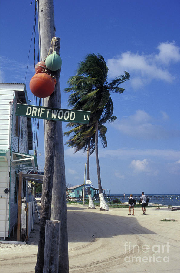 Sandy Street on Caye Caulker Belize Photograph by John  Mitchell