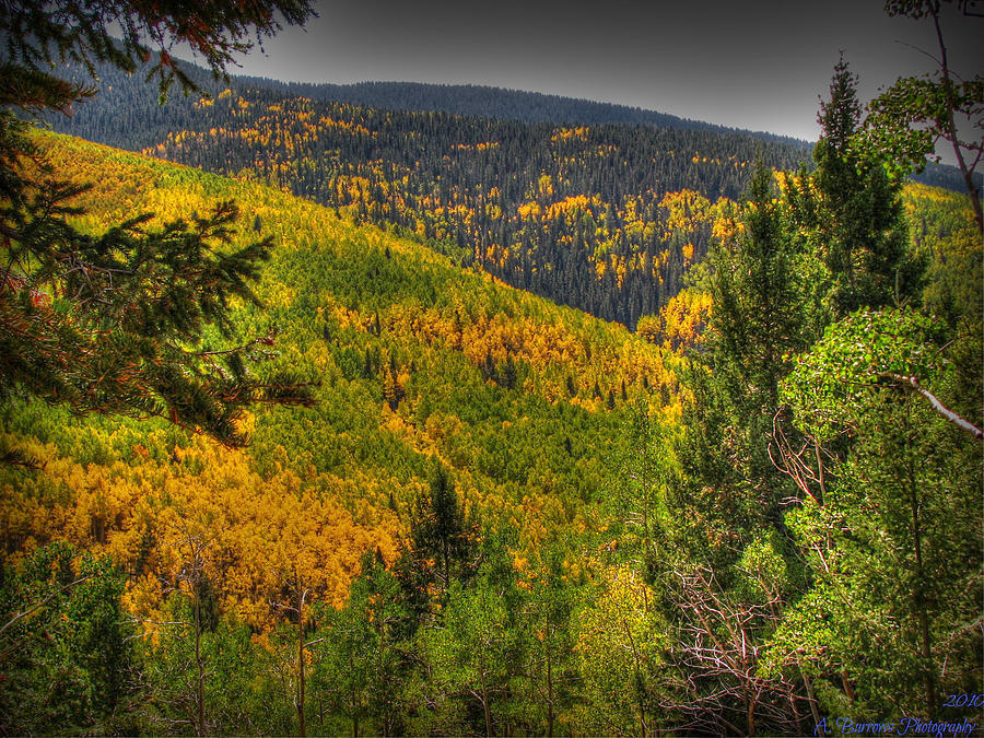 Sangre Autumn HDR Photograph by Aaron Burrows