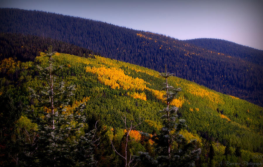 Santa Fe Autumn Photograph by Aaron Burrows