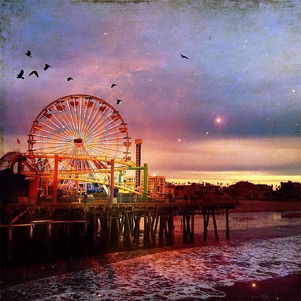 Pier Photograph - #santamonica  #pier @pacpark by Denise Taylor