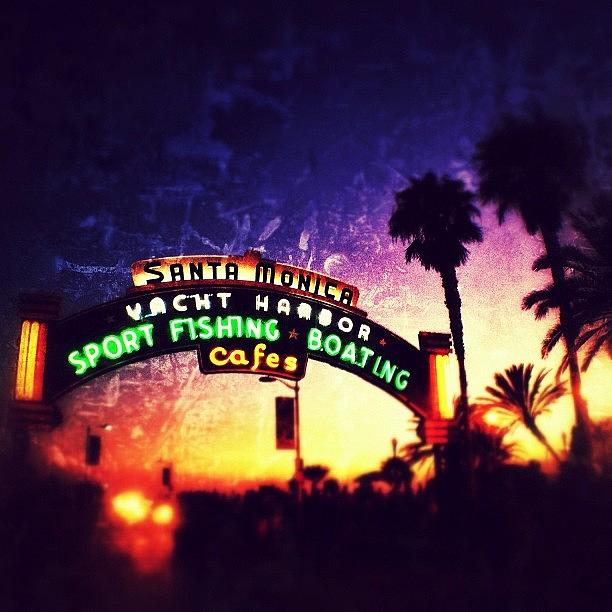 Sign Photograph - #santamonica #pier #sign #night #neon by Denise Taylor