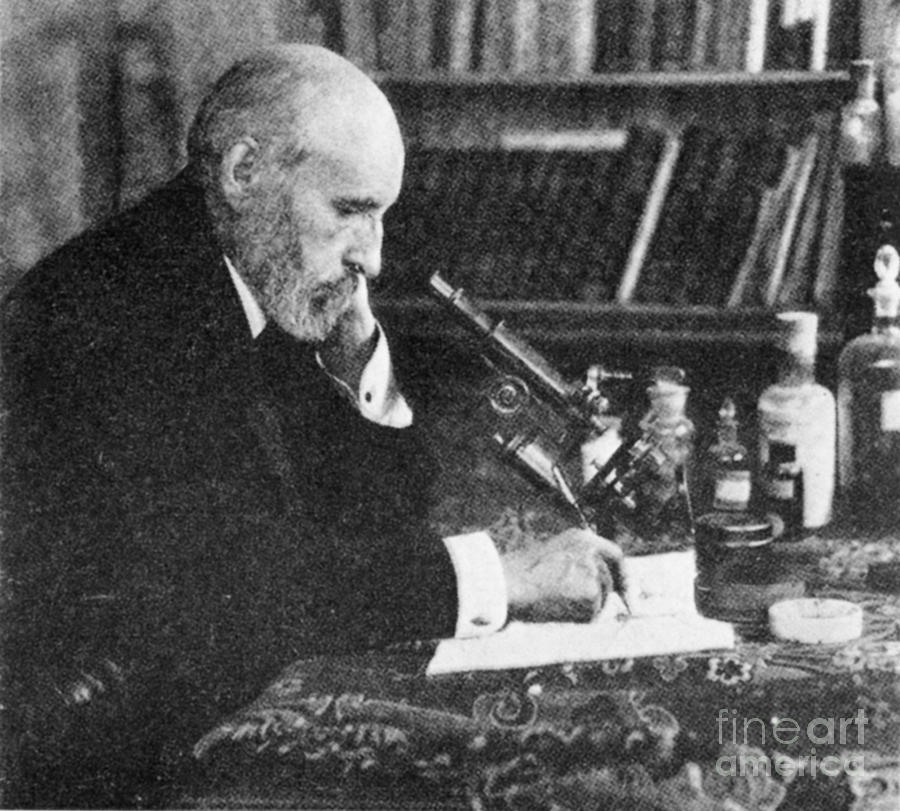 Portrait Photograph - Santiago Ramon Y Cajal, Spanish by Science Source