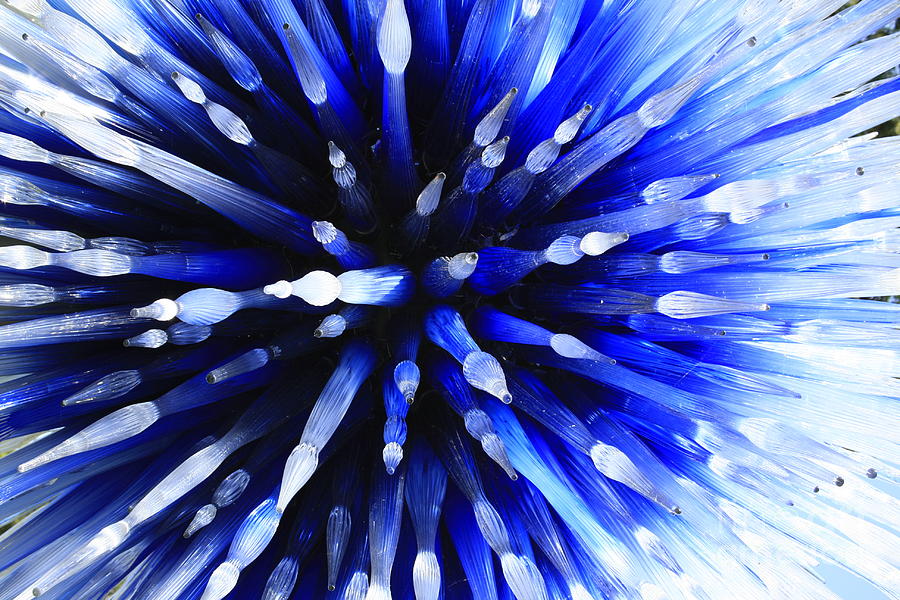 Sapphire Explosion Photograph by Jerry Bunger