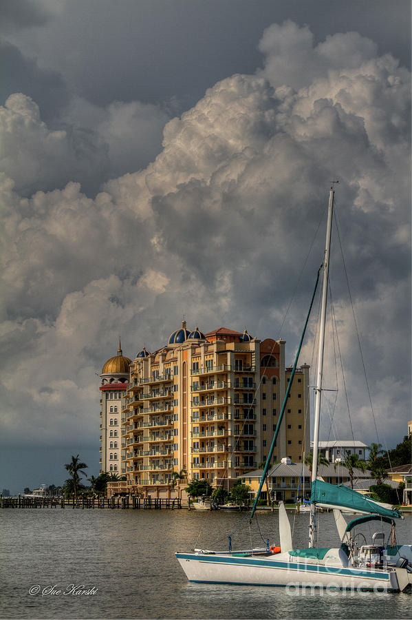 Sarasota Harbor View Photograph by Sue Karski