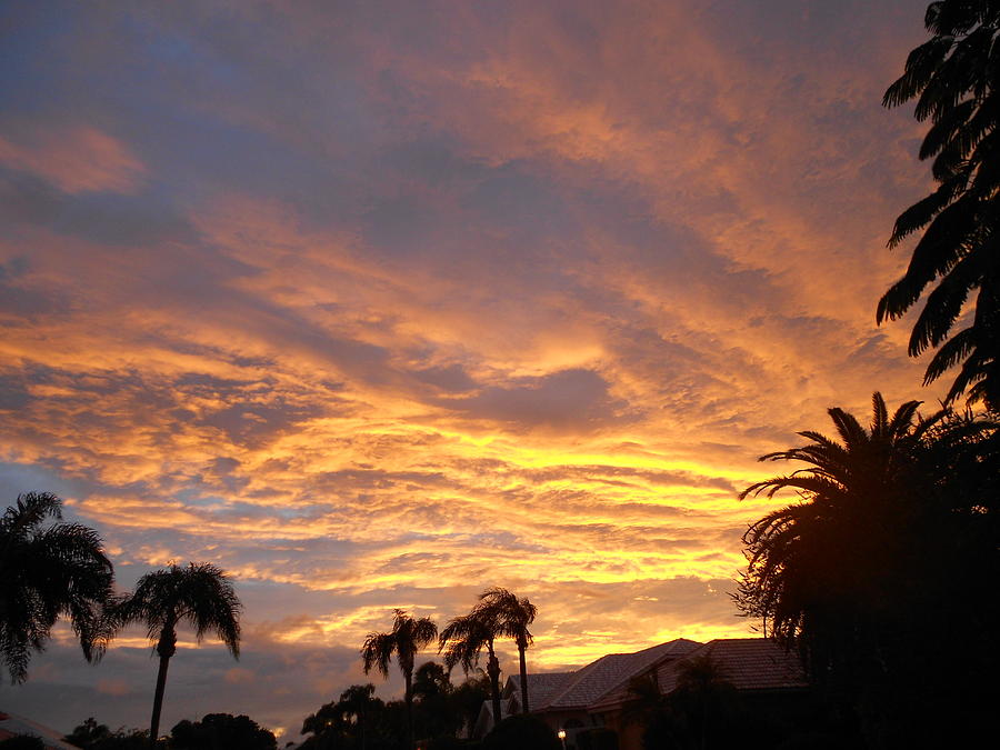 Sarasota Sunset Photograph by Sheila Silverstein