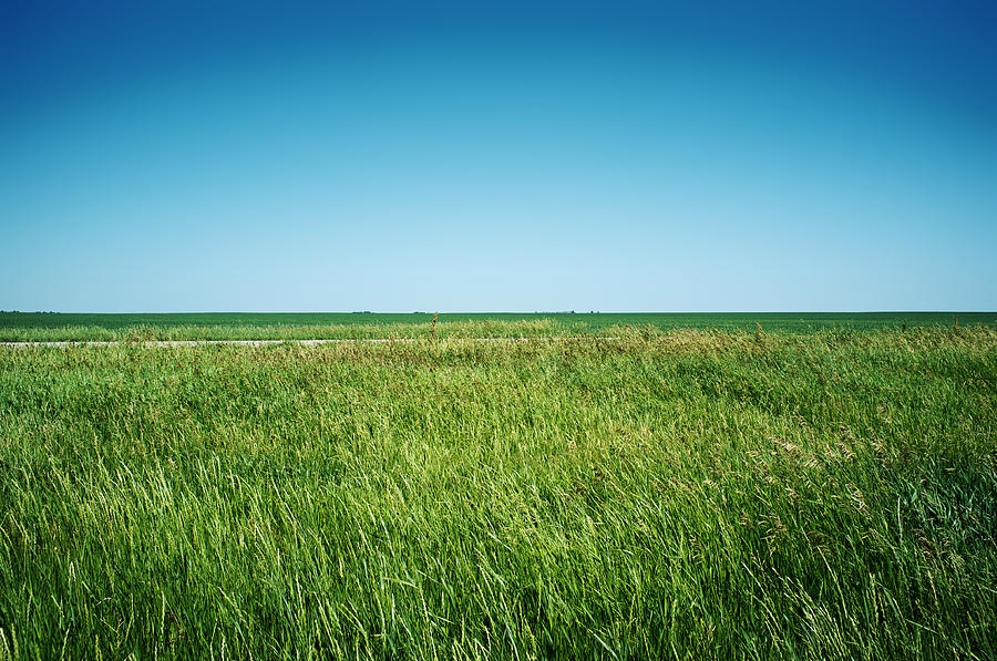 Landscape Photograph - Saskatchewan by Tanya Harrison