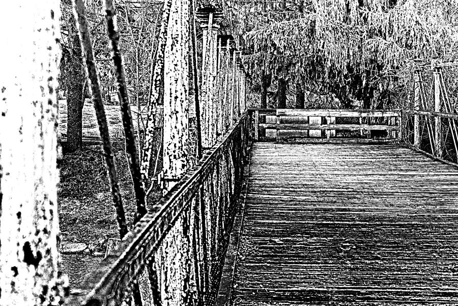 Saucon Creek Bridge - BW Photograph by D L McDowell-Hiss