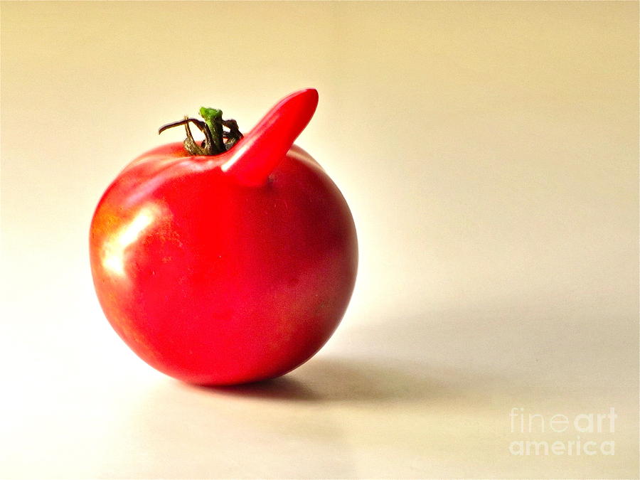 Saucy tomato Photograph by Sean Griffin
