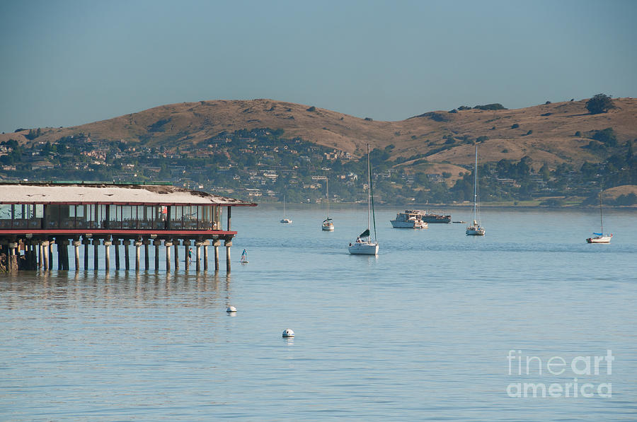 Sausalito Harbour Digital Art by Carol Ailles