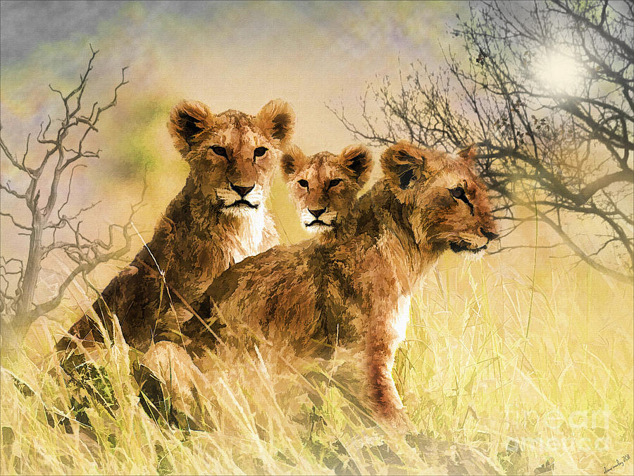 Lions in the Savanna Mixed Media by Elaine Manley