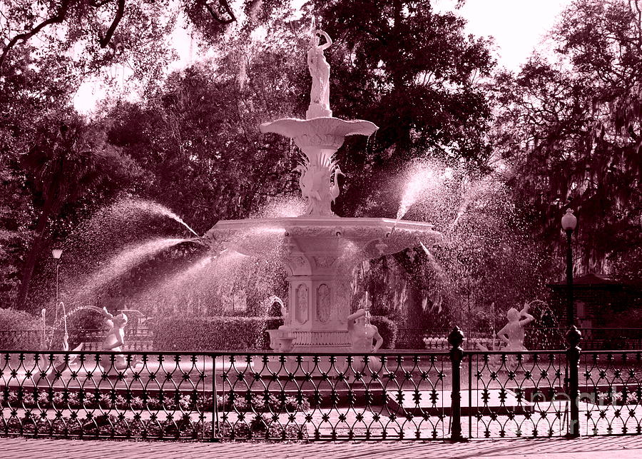 Savannah Fountain in Pink Photograph by Carol Groenen