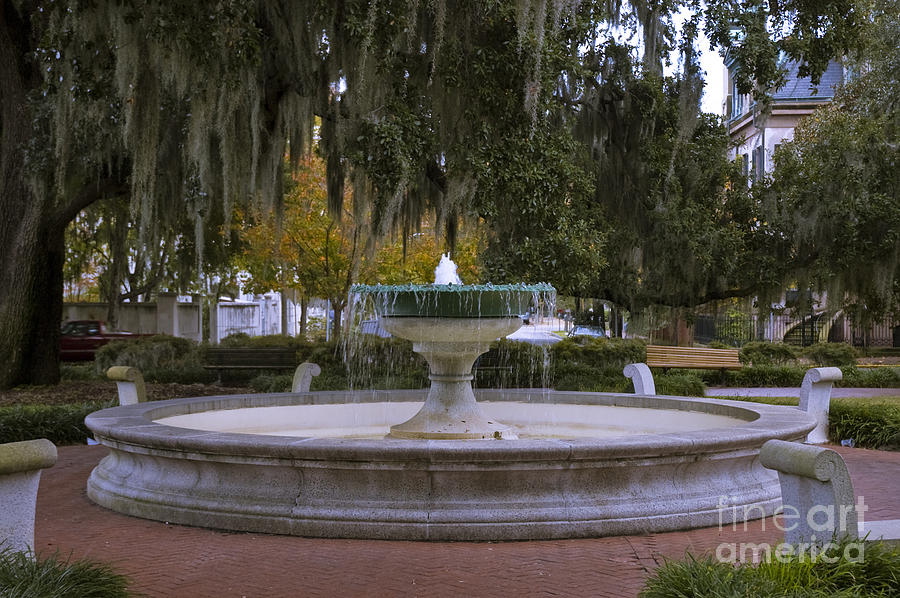 Savannah Fountain Photograph by Tim Mulina