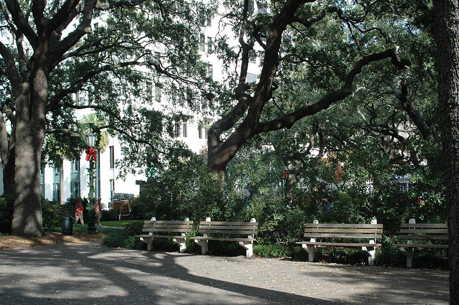 Savannah Historical District Park Benches and Trees Photograph by Kathy Fornal