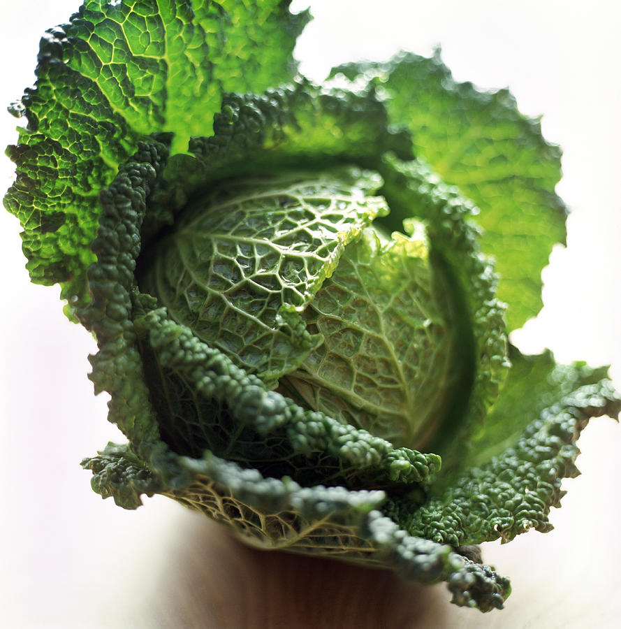 Still Life Photograph - Savoy Cabbage by David Munns