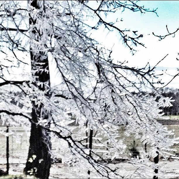 Rissen Photograph - Saw This Today When Out On A Run. We by Shelley Walsh Rissen Photograph - Saw This Today When Out On A Run. We by Shelley Walsh