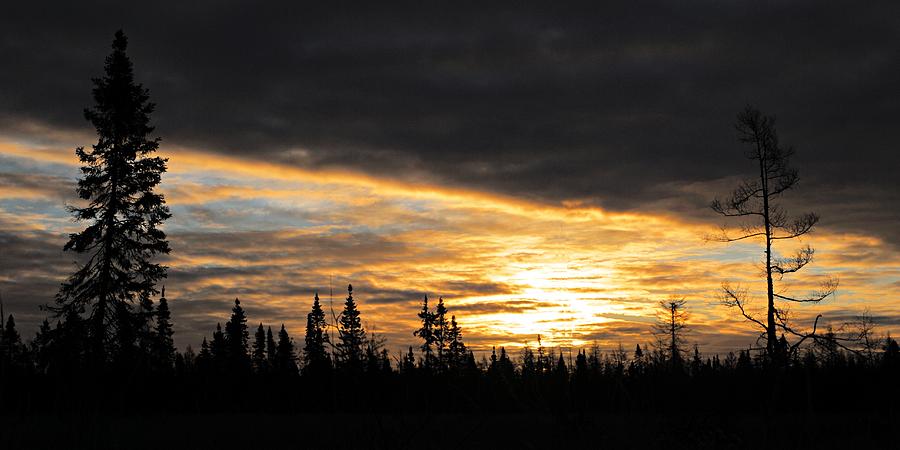 Sax-Zim Sunrise Photograph by Larry Ricker