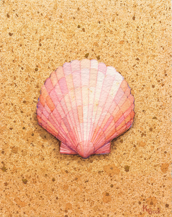 Scallop Seashell Watercolor Print