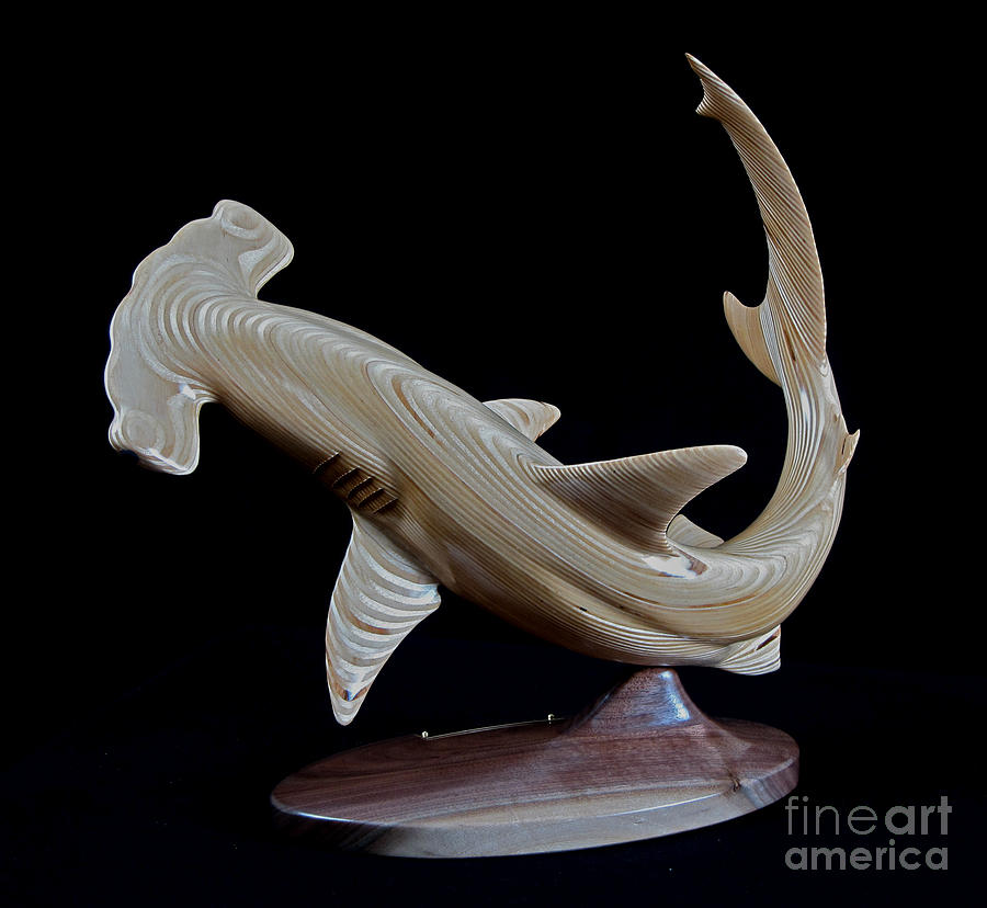 Hammerhead Shark Sculpture - Scalloped Hammerhead by Kjell Vistnes