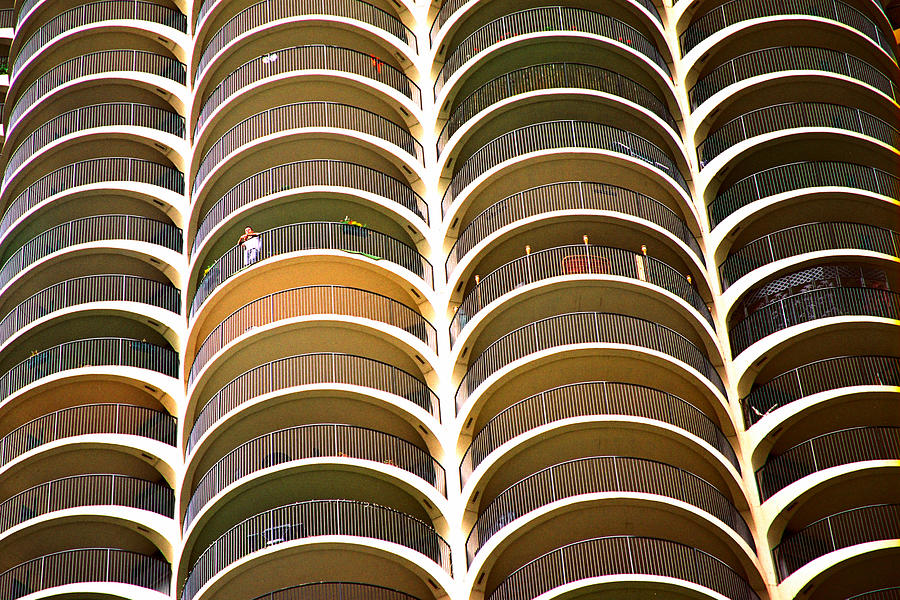 Chicago / Building Photograph by Claude Taylor