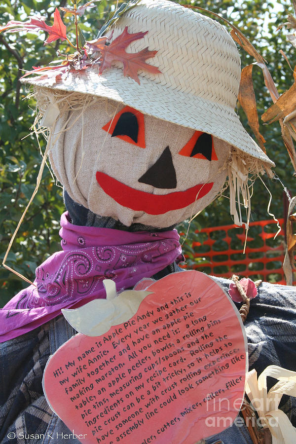 Scarecrow Andy Photograph by Susan Herber
