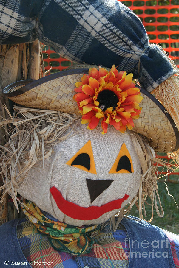 Scarecrow Annie Photograph by Susan Herber