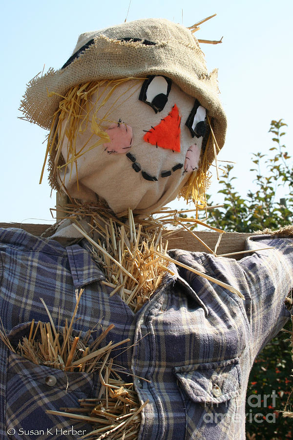 Scarecrow Farmer Photograph by Susan Herber
