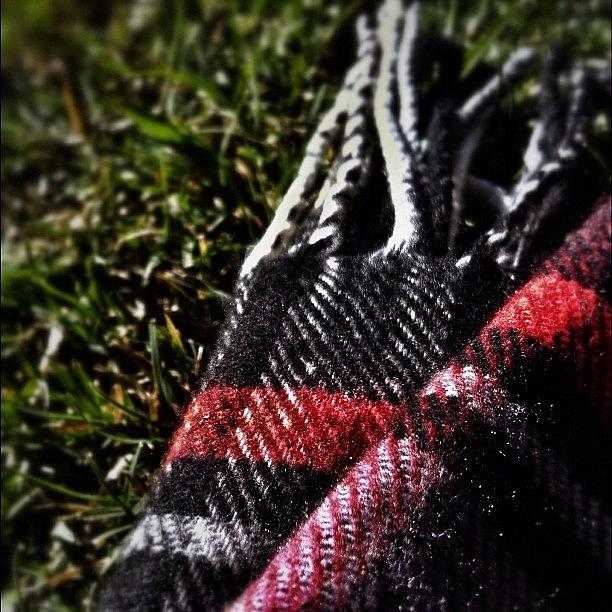 Winter Photograph - #scarf #plaid #red #grey #black #grass by S Michelle Reese