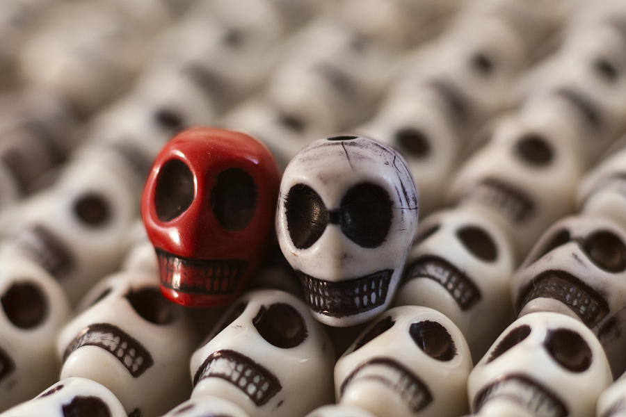 Skull Photograph - Scarlet And Grey by Mike Herdering