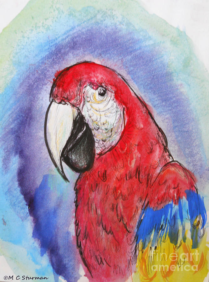 Macaw Mixed Media - Scarlet Macaw by M c Sturman
