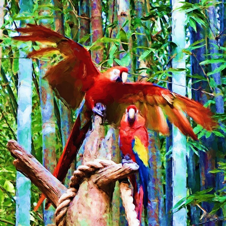 Scarlet Macaws Photograph by Jenny Hudson