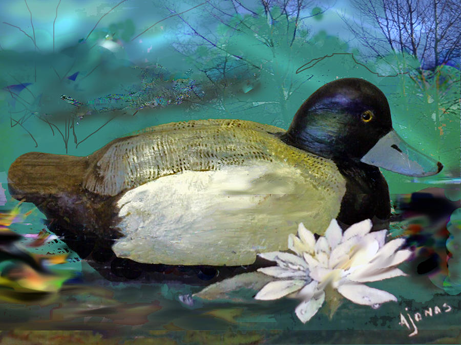 Duck Painting - Scaup Duck by Amalia Jonas