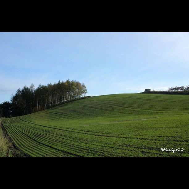 Landscape Photograph - Scenery Of Green Field At Biei (#hdr) by Kimihiro Ecchie