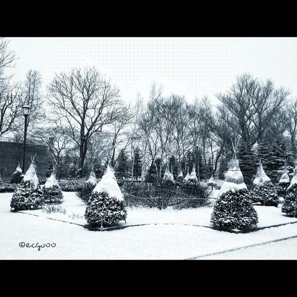 Scenery Of Winter Photograph by Kimihiro Ecchie