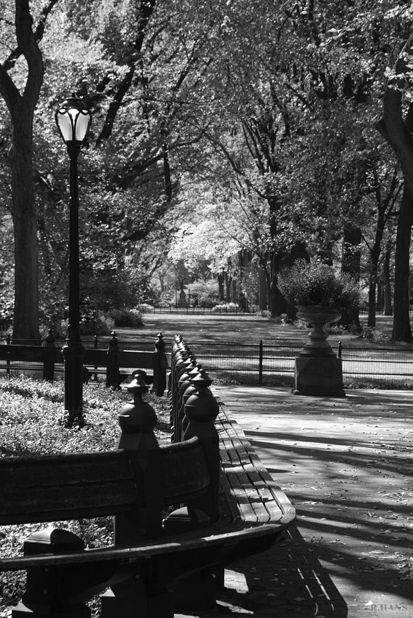 Scenes From Central Park In Black And White Photograph by Rob Hans