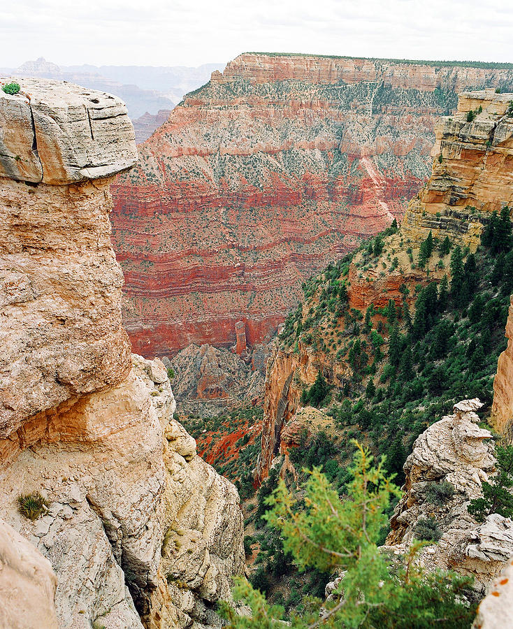 Scenic Grand Canyon 11 Photograph by M K Miller