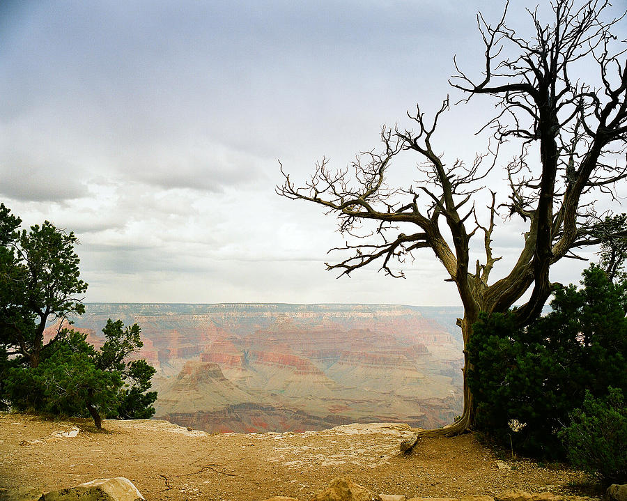 Scenic Grand Canyon 18 Photograph by M K Miller