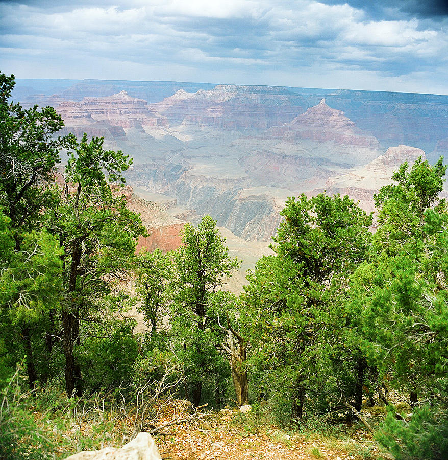 Scenic Grand Canyon 20 Photograph by M K Miller