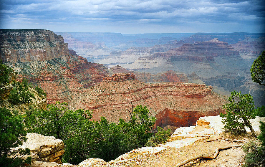 Scenic Grand Canyon 22 Photograph by M K Miller