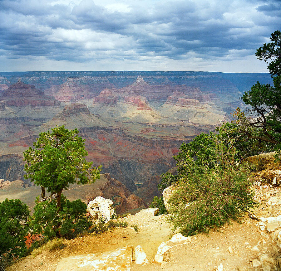 Scenic Grand Canyon 24 Photograph by M K Miller