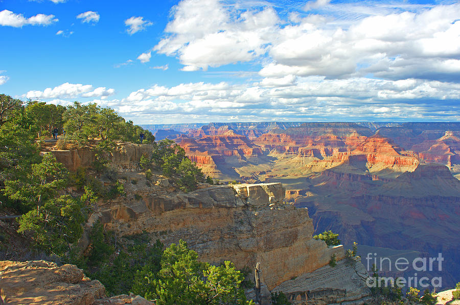 Scenic Grand Canyon Photograph by Randy Harris